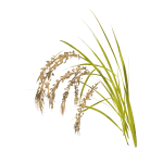 3d立体の矢印arrowイラスト 無料イラスト フリー素材屋きんぎょ