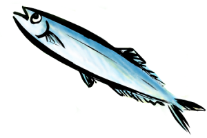 秋のサンマイラスト無料素材