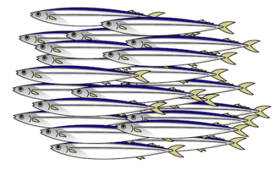 大量の秋刀魚の群れイラスト